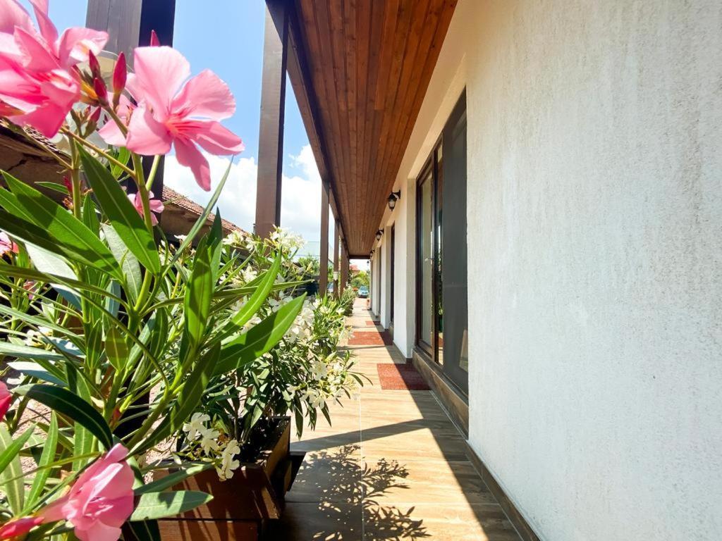 Casa Mura 2 Mai Exterior photo